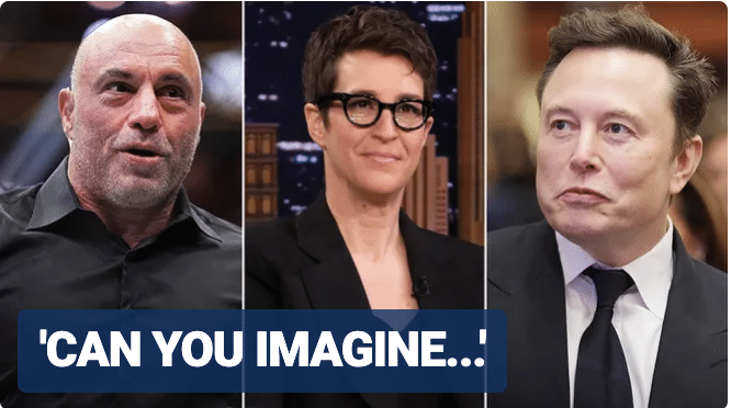 Joe Rogan asks to replace Rachel Maddow’s job if Elon Musk buys MSNBC